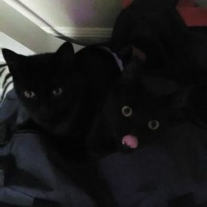 Meet your Posher, Scott